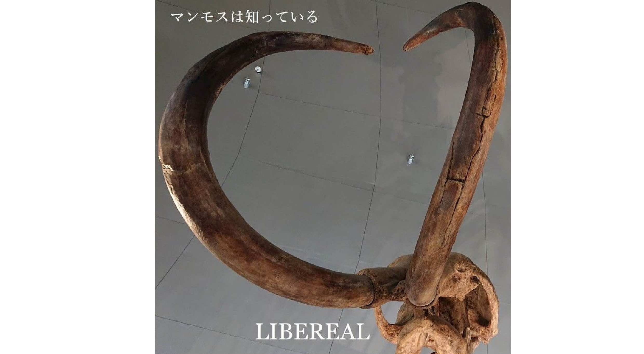 ３／１０（日）LIBEREAL（リベリアール）上陸！